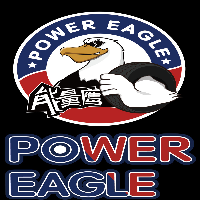 山西能量鷹少兒體能教育咨詢有限公司