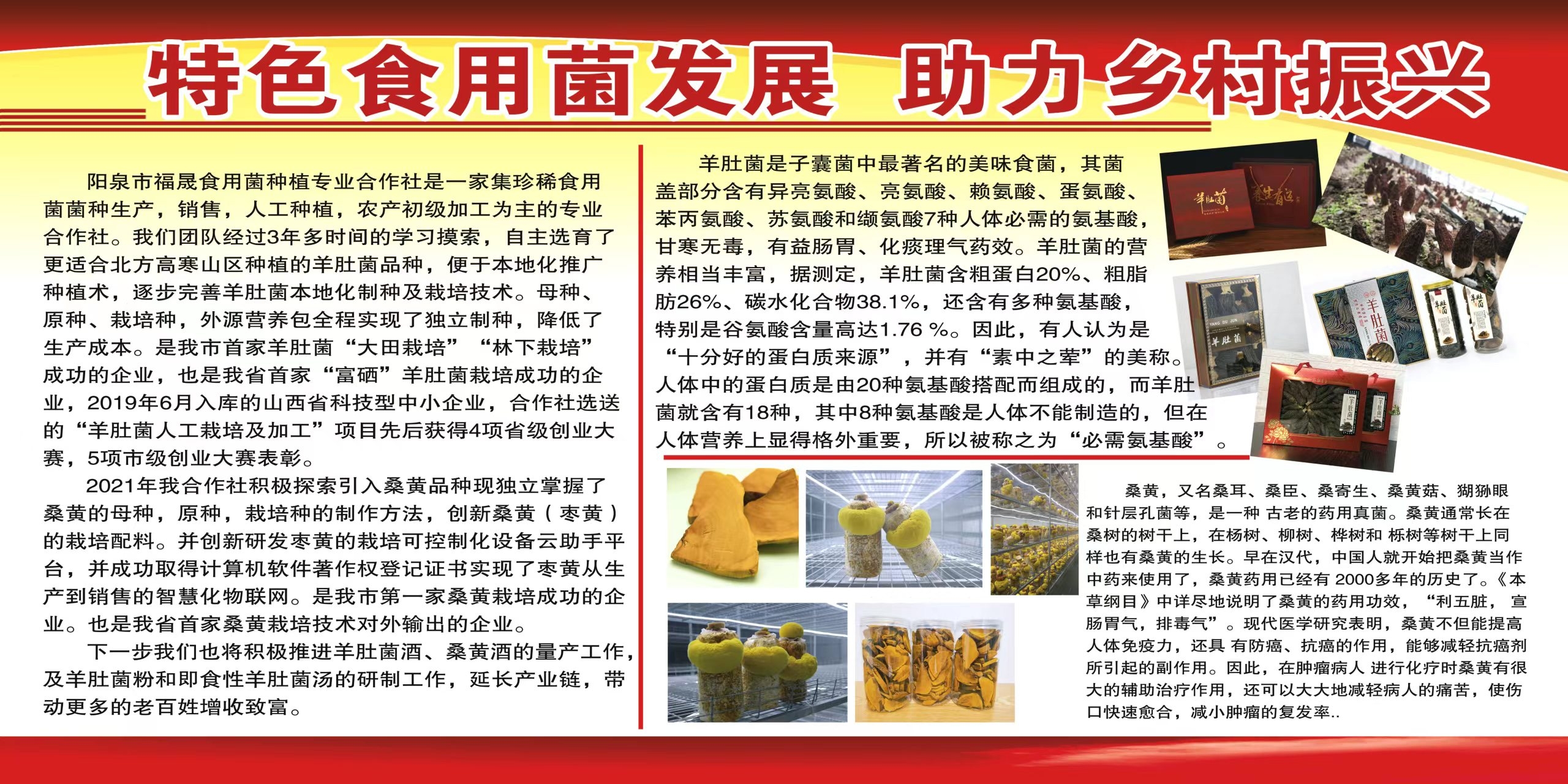 特色食用菌發(fā)展